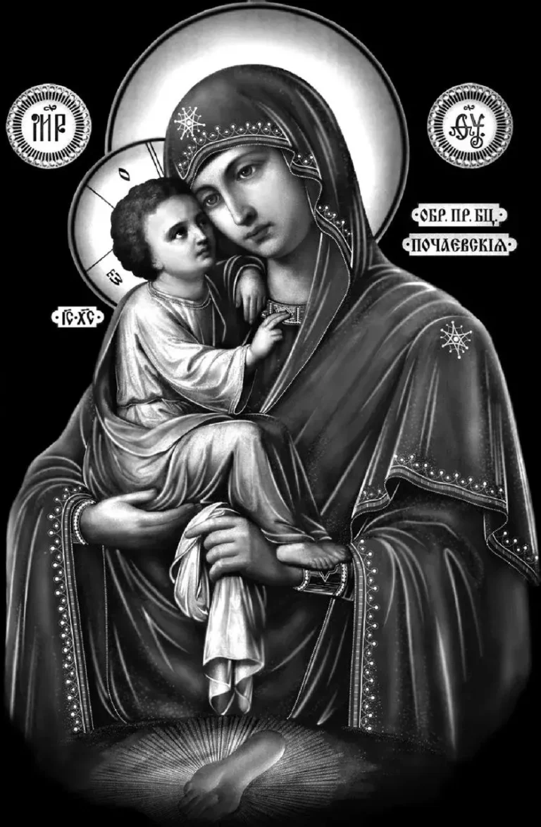 IMG_20230310_023559_790